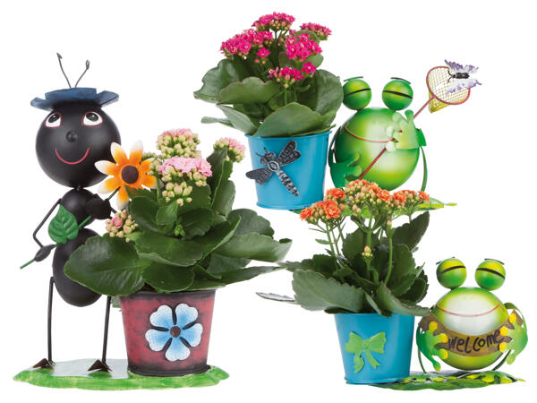 Zinkfigur mit Kalanchoe