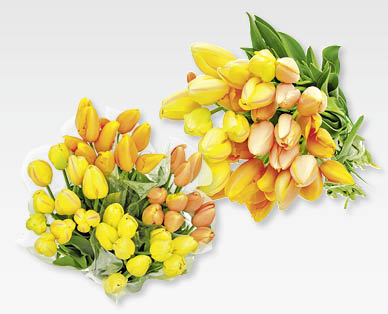 Tulipani francesi