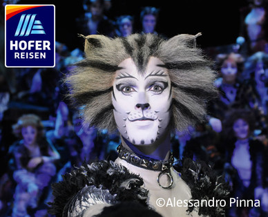 Musical Cats - Wien