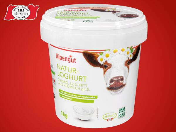 Heumilch Naturjoghurt cremig