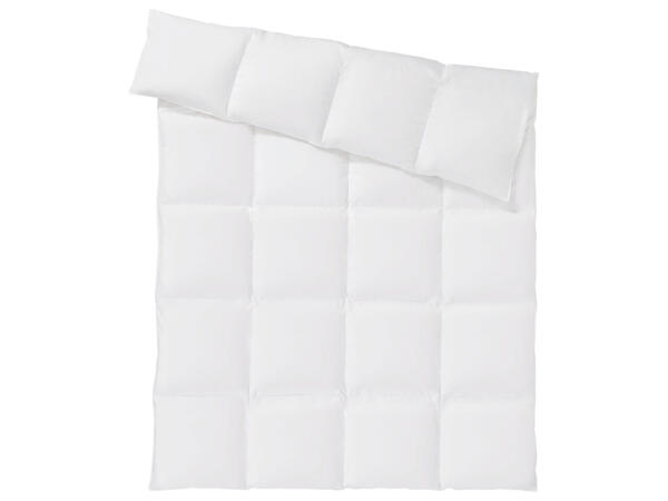 Feather & Down Box-Stitched Duvet