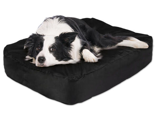 Aufblasbares Hundebett