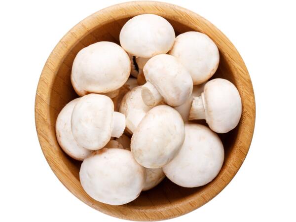 Champignons weiß