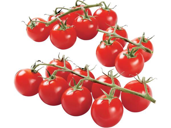 XXL Cherry Vine Tomatoes