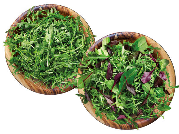 Mix-Salat oder Rucola