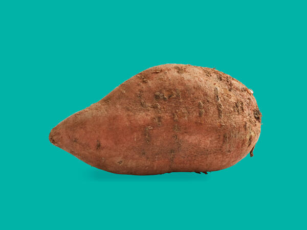 Sweet Potato