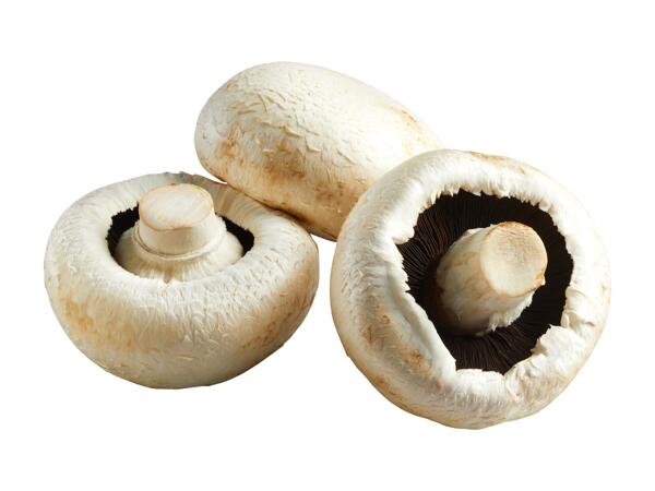 Northern Irish Flat Mushrooms