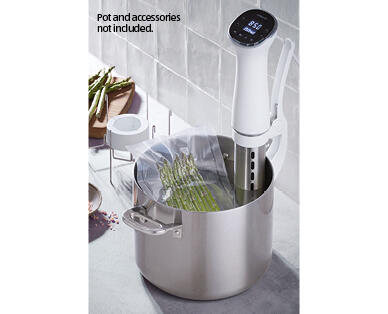 Sous Vide Stick