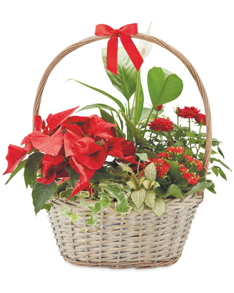Luxury Christmas Basket
