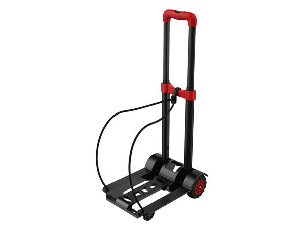 Folding Load Carrier