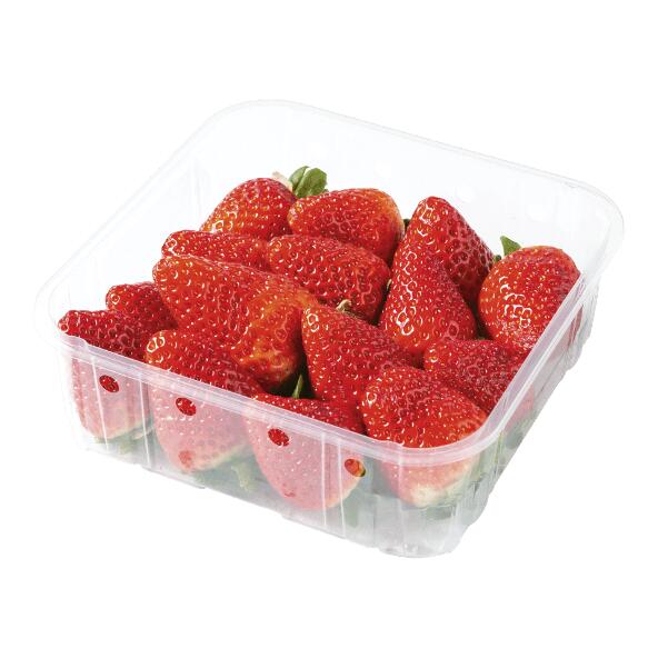 CALINDA(R) 				Erdbeeren