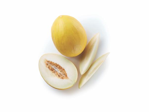 Honey Melon