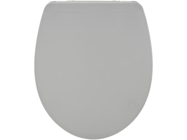 Toilet Seat