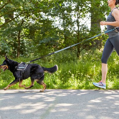 Laisse de jogging