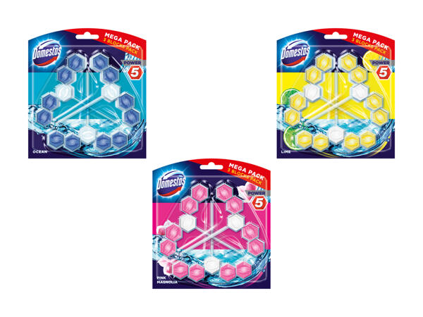 Bloc WC Domestos