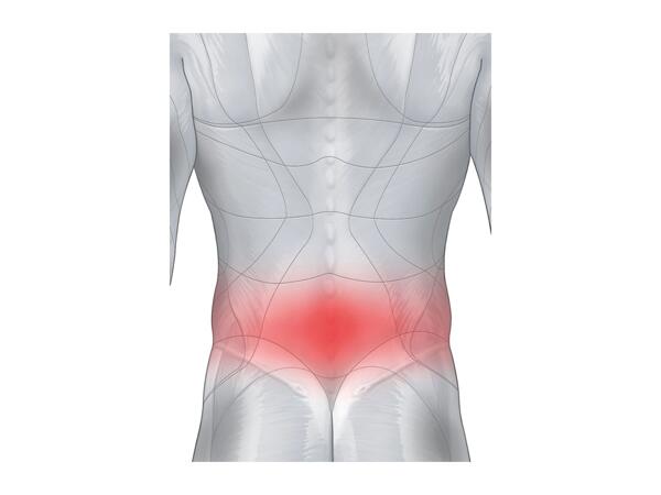 Sensiplast Back Brace Lumbo Active