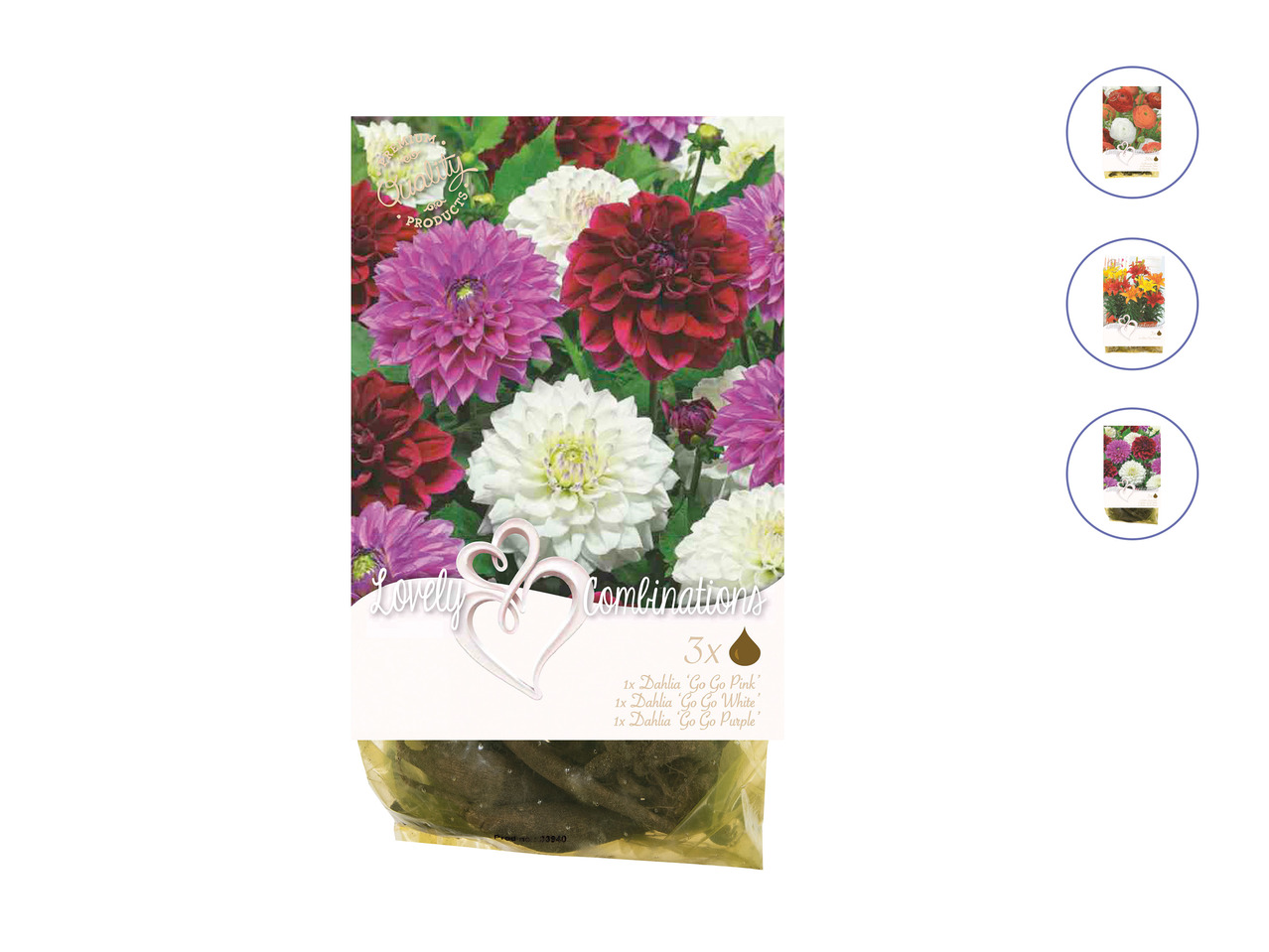 Bulbs "Lovely Combinations"1