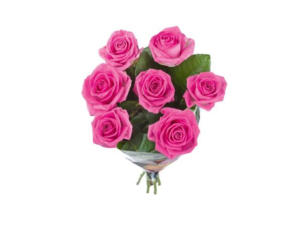 Bunch of Roses XXL