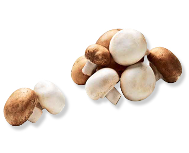 Champignons