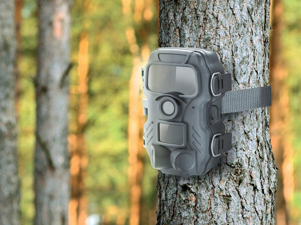 Wildlife Surveillance Camera