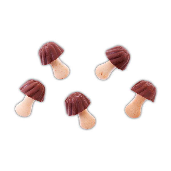XXL Kekse Pilz Bande