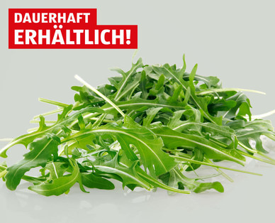 Rucola