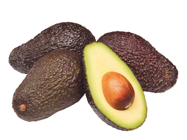 Avocado Netz