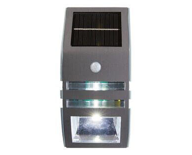 Solar Step or Wall Light