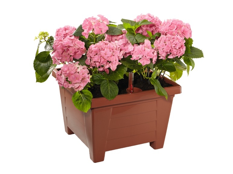 Planter