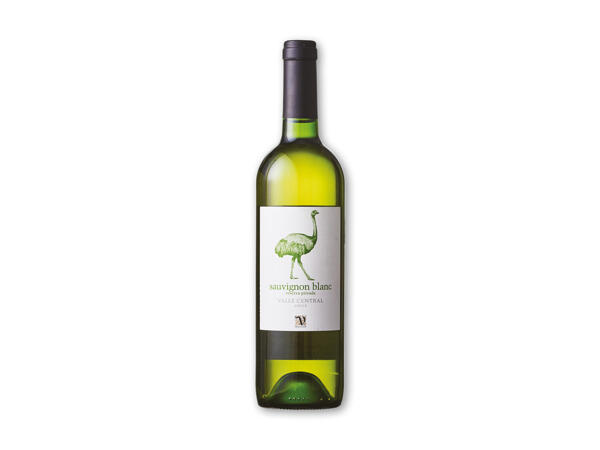 Sauvignon Blanc