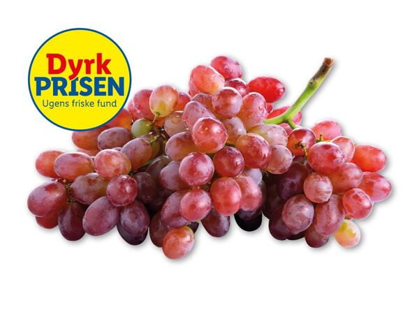 Røde stenfri vindruer