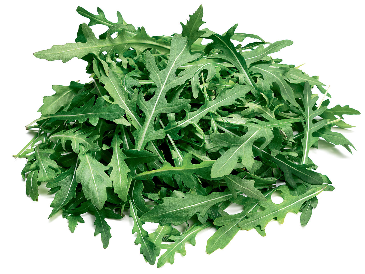 Rucola-Salat