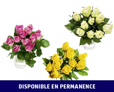 ROSES