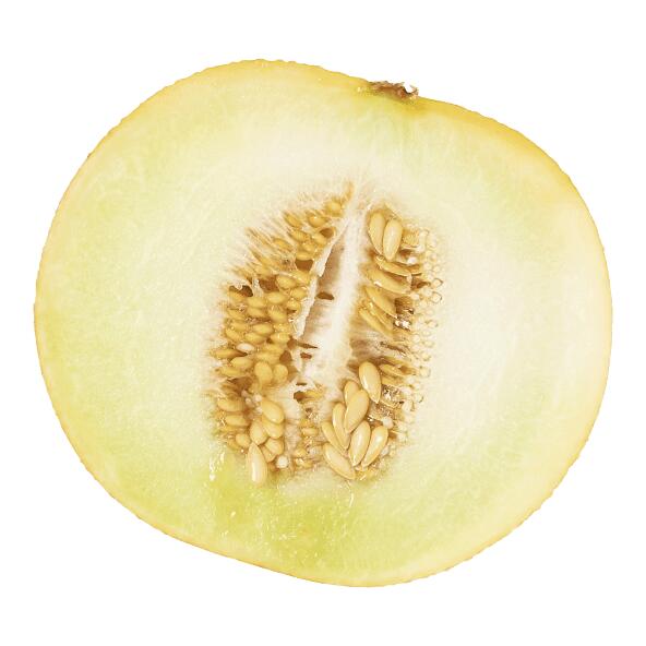 Melon Galia