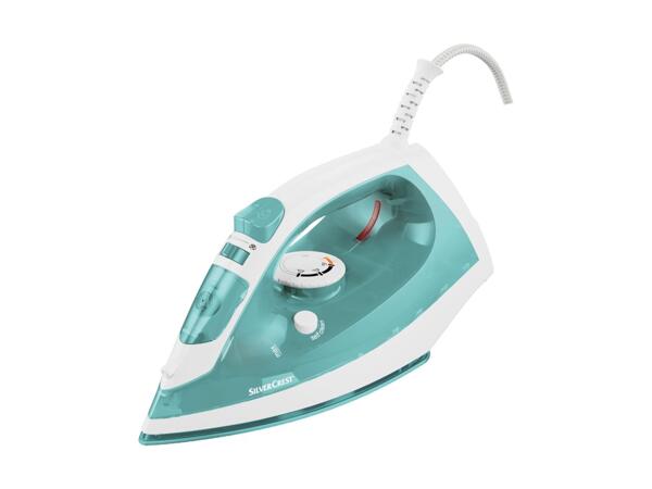 Steam Iron