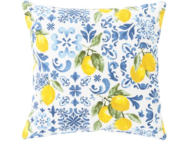 Cushion