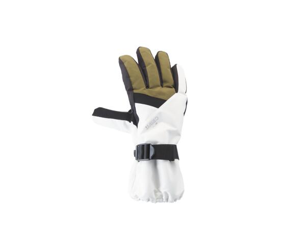 Ladies' Ski Gloves
