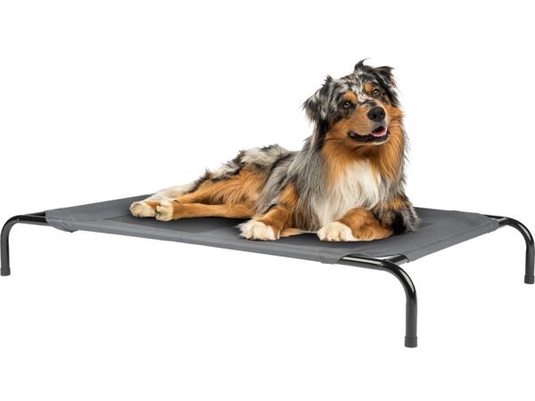 Raised Dog Bed