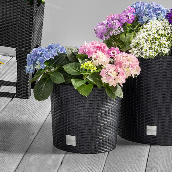 Blumentopf in Rattan-Optik