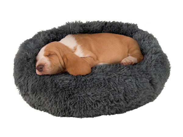 Zoofari Soft Pet Bed