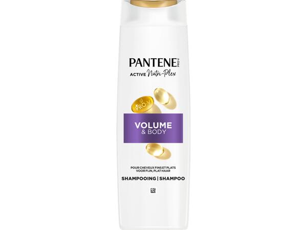 Shampooing