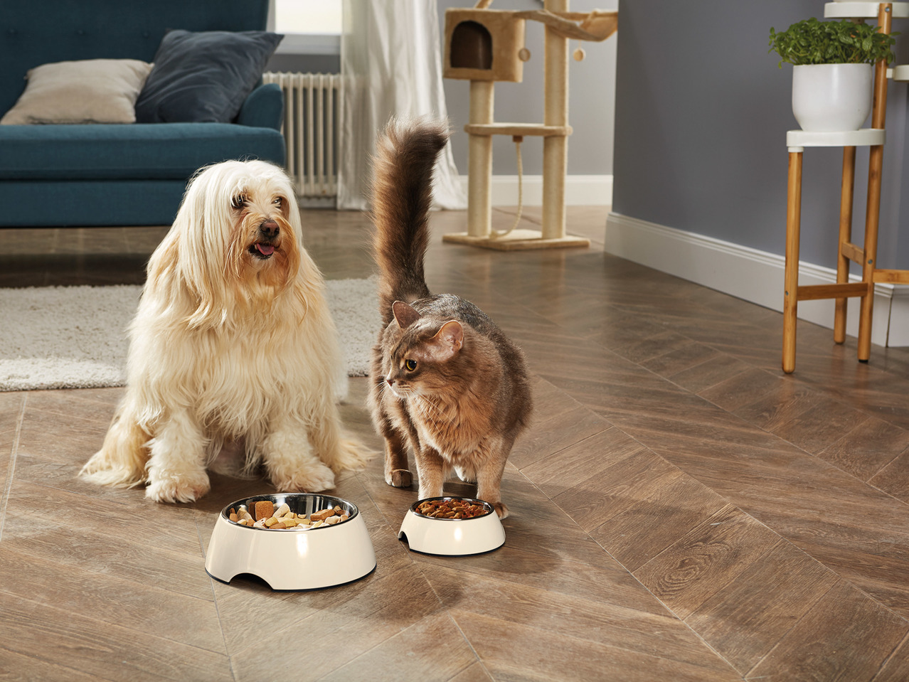 Zoofari Food or Water Bowls1
