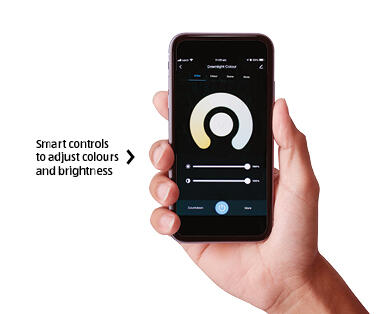 Smart LED Downlight