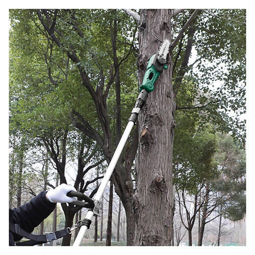 Cordless Pole Saw