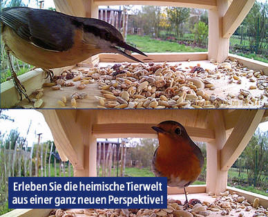 MAGINON Vogelhaus mit Kamera