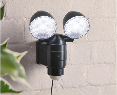 Twin Head Security Light