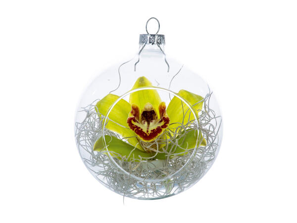 Christmas Bauble with Cymbidium