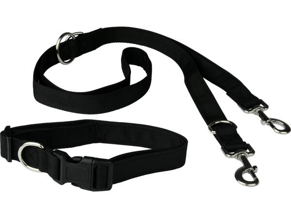 Dog Collar & Lead