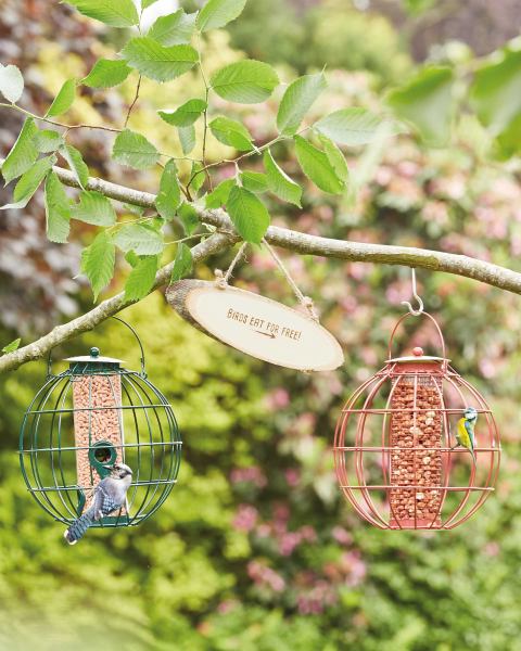 Bird Globe Seed Feeder Green