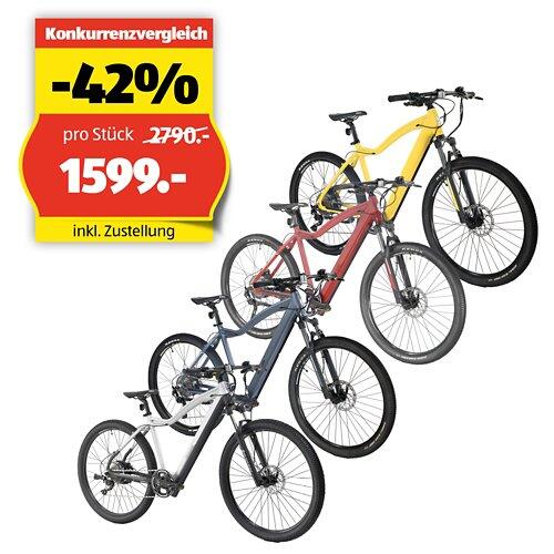 ALLEGRO Invisible E-MTB AXIM °03 19"